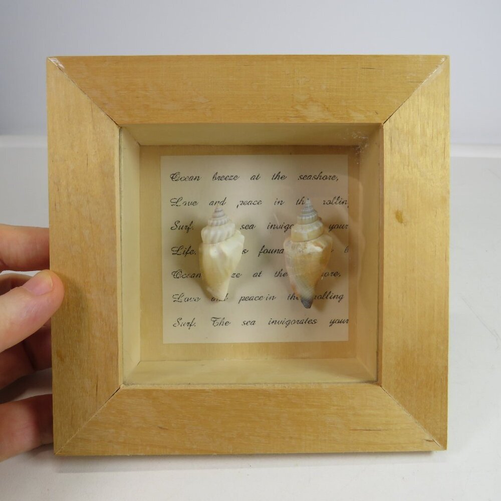 Sea Shell Natural Shadow box picture frame 5 1/2" w glass
